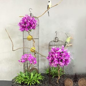 powder coated bird cage